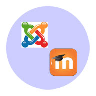 Templates personalizados para o seu projeto